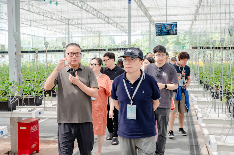 太美了！2025世界溫州人文藝家赴楠溪江創作采風紀實