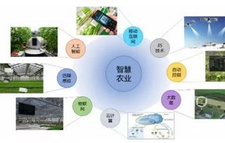 智慧農業浪潮下，農企如何借力信息技術咨詢服務破局爭先